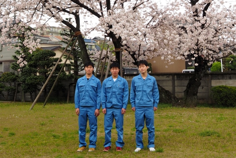 2015新入社員桜 2015新入社員桜